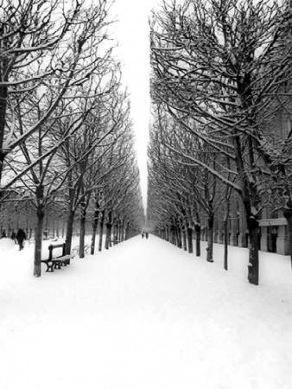 The Tuileries Garden under the snow, Paris Poster Print by Michel Setboun - Item # VARPDX3MS3287
